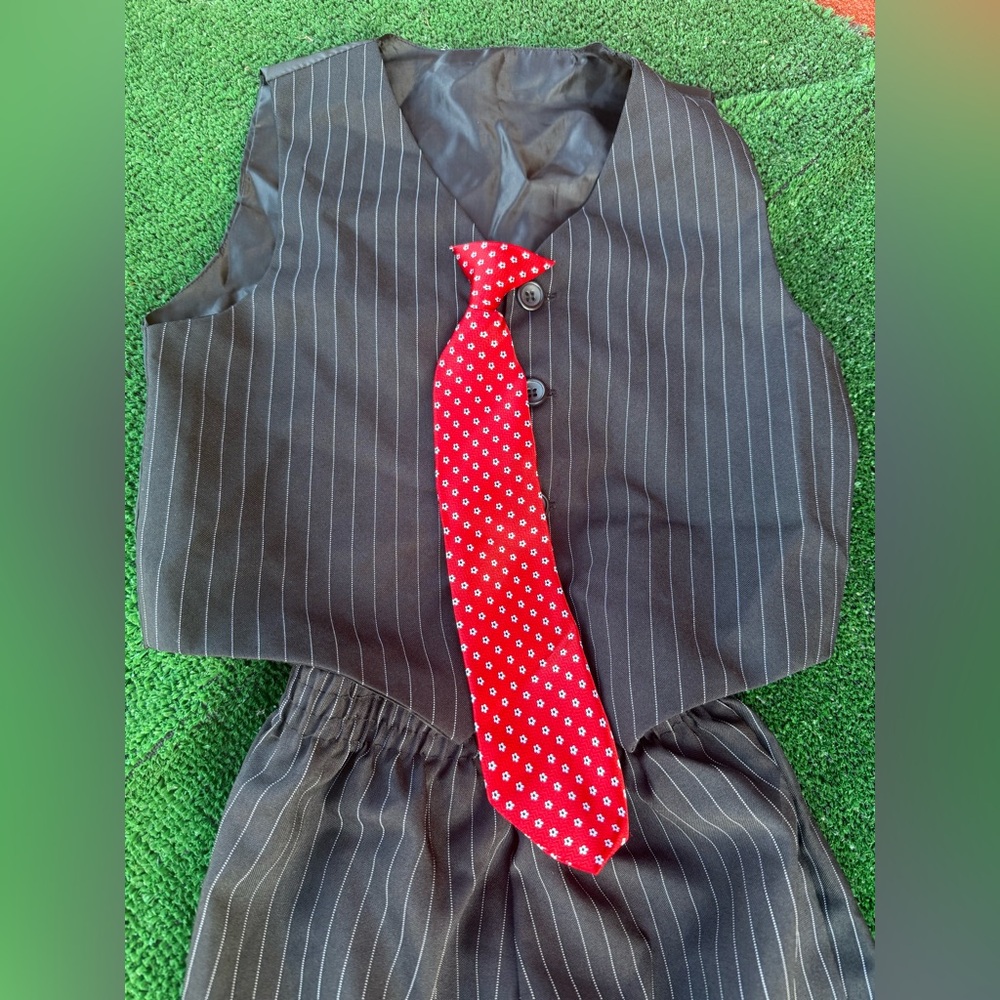 Pinstripe Vest and Red Tie Set